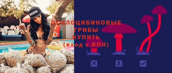 СК Абаза